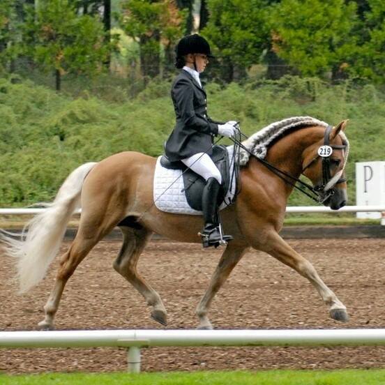 Maximotion WSF (Maifurst x Blute)